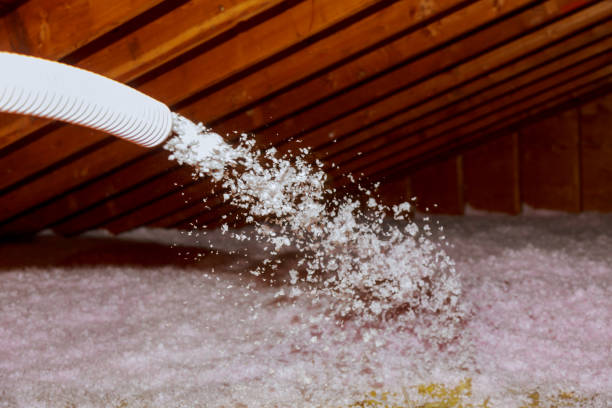 Best Energy Efficiency Insulation in Charlotte Harbor, FL